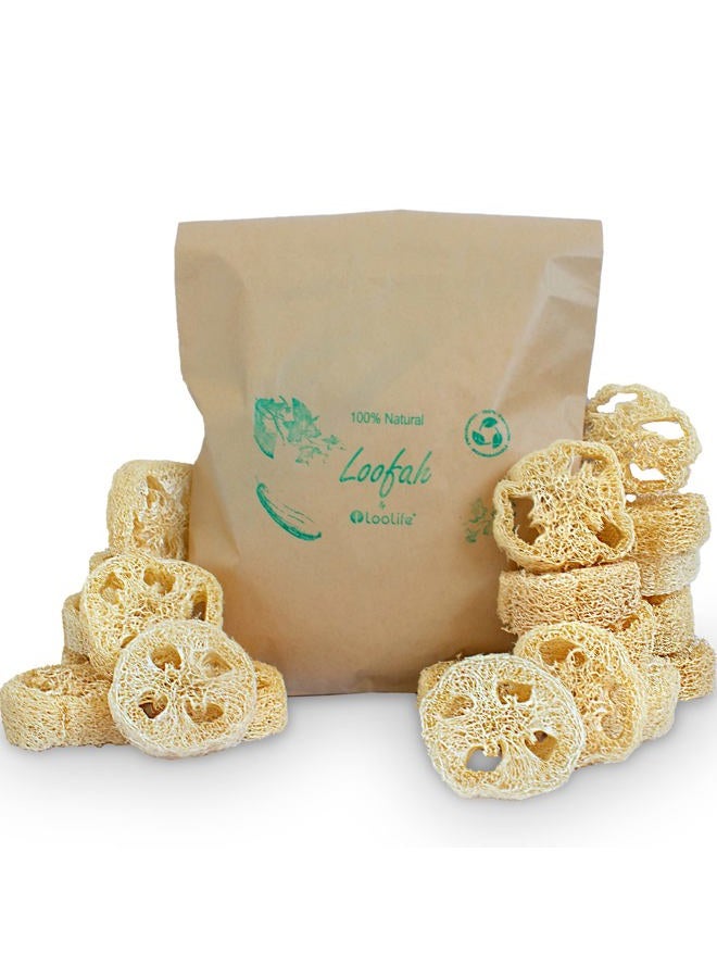 LooLife 100% Natural Loofah Slices for Soap Making (20 Pack) - Luffa Slices Cuts - Loofah Kit - Organic Soap Making Products - Loofah Sponge Natural - Loofah Soap - Hamster Chew Toys - Image 1